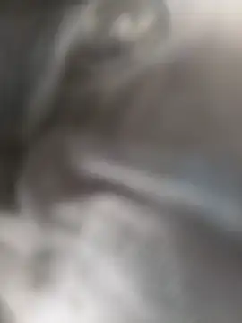 faceless_rocky webcam