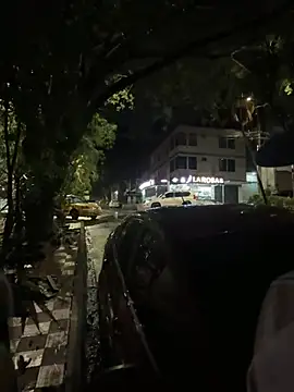 lindaandtony live webcam