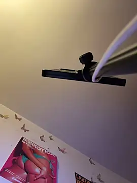 LeBimbo webcam