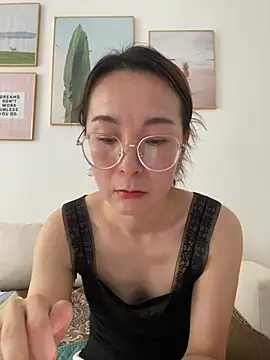 you-520 webcam