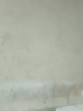 lee_chang- webcam