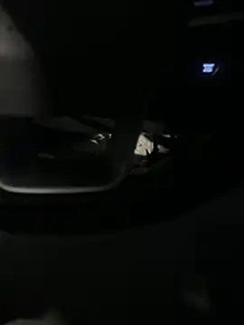 tunastypapi webcam