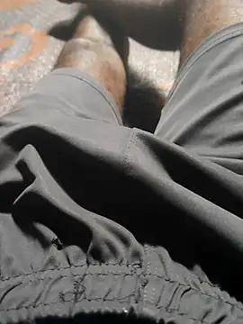 Bengali_BULL1 webcam