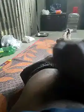 Bengali_BULL1 webcam