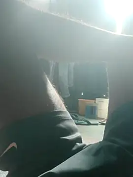 Bengali_BULL1