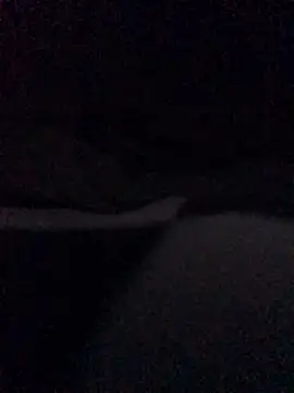 WhiteSteelDream webcam