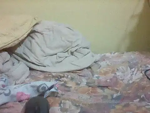 mislover webcam