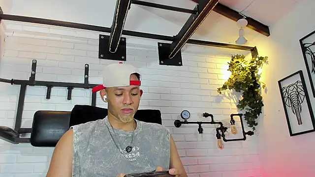 B_Wild webcam