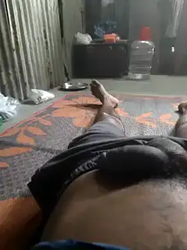 Bengali_BULL1 webcam