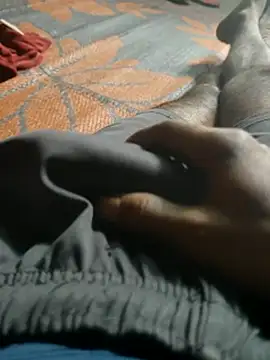 Bengali_BULL1 webcam