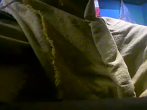 Precumking1 webcam