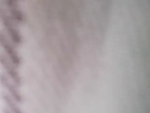 hamstiboy55 webcam