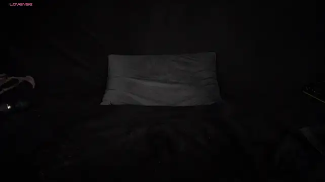 STOP-PANIC webcam