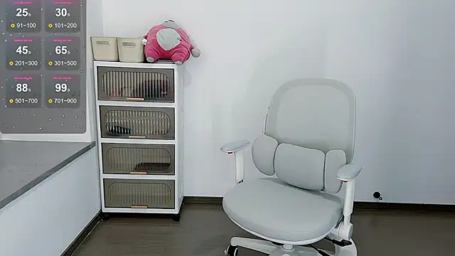Judy-520 webcam
