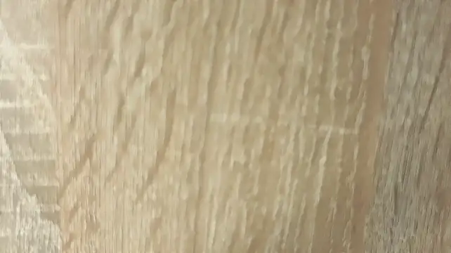 NoFace_Model webcam