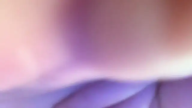 zamir333 webcam