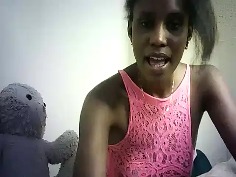 DelteAfriq webcam