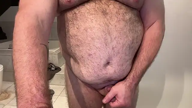 crb1234sc webcam