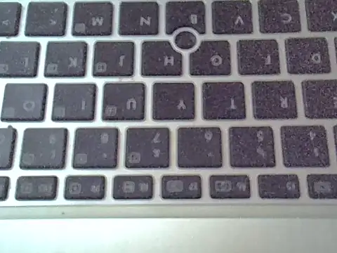 Delicious-D webcam