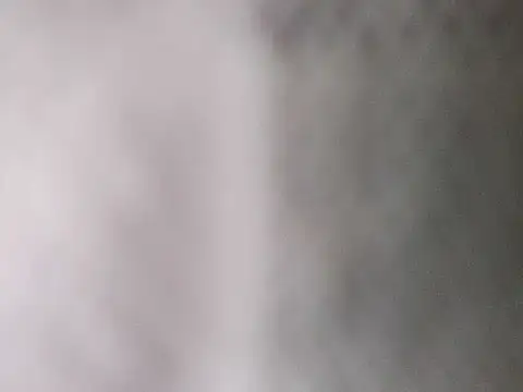 hamstiboy55 webcam