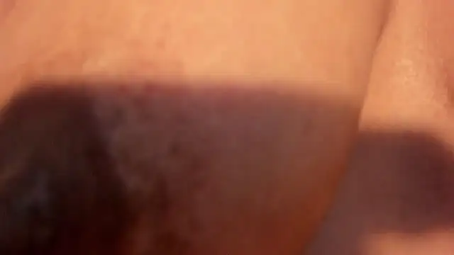 Evaalux webcam