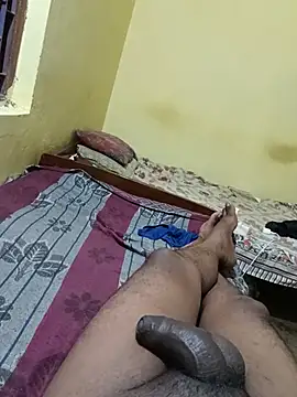 Vilge-star webcam