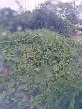 Asexycook4Ubananas webcam