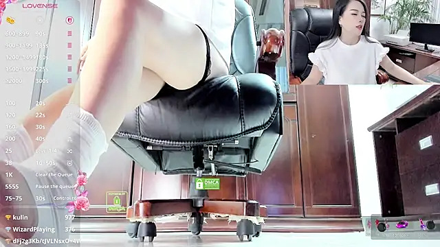 Kaixin520 webcam