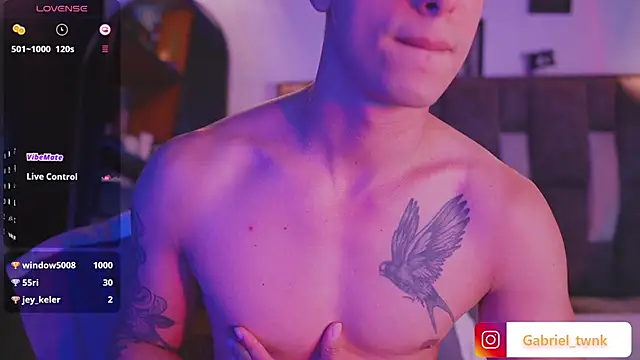 I_Gabriel webcam