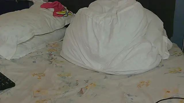 Dic_star webcam