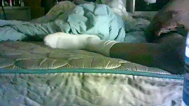 CR3M3_FIR3 webcam