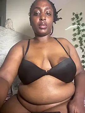 Sollybunny webcam