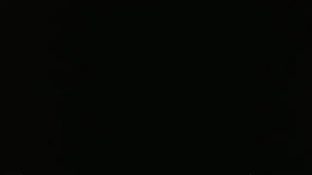falconcam webcam