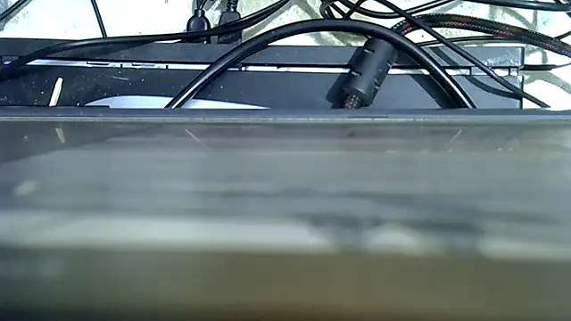 cutiebie webcam
