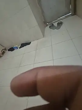 Bavya8 webcam