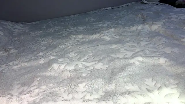 OdetteTrentinella webcam