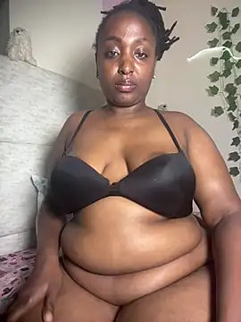 Sollybunny webcam