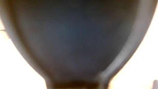 July_rosie webcam
