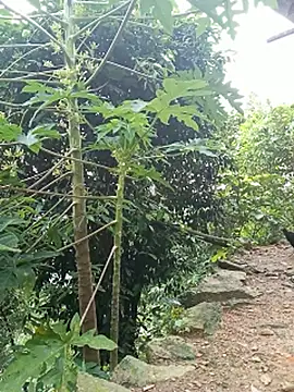 vtmbae webcam