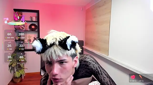 Stich_23 webcam