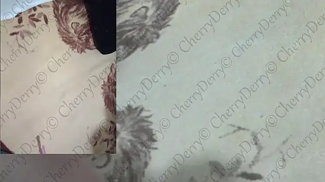 CherryDerry webcam