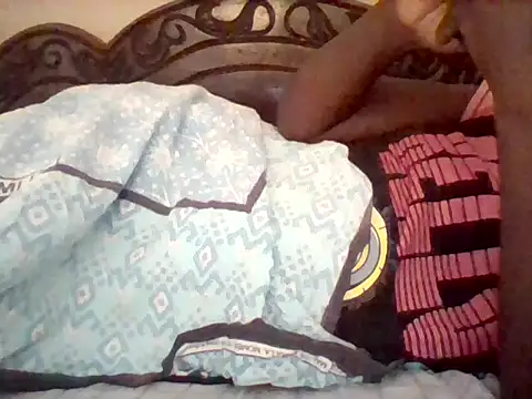 missarpie webcam
