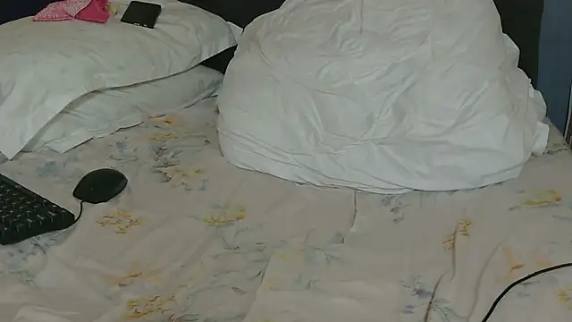 Dic_star webcam