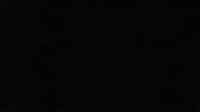 falconcam webcam