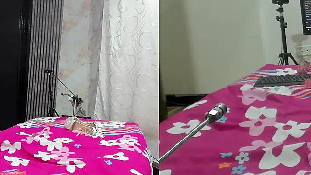 sofi_boll25 webcam