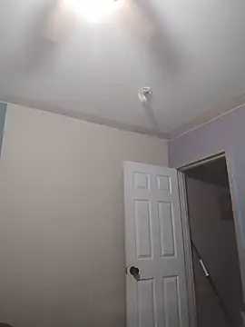ReallyReallyReal webcam