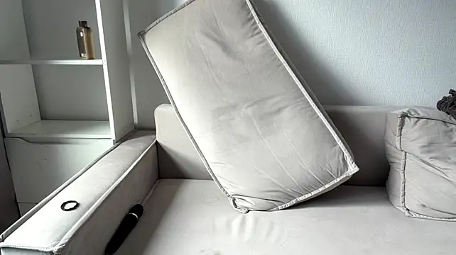 art_object webcam