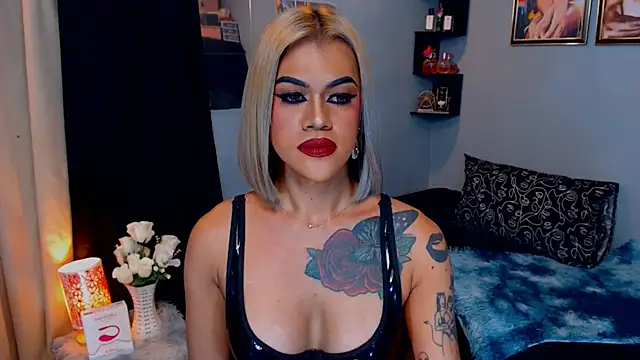 StellaStrong30 webcam
