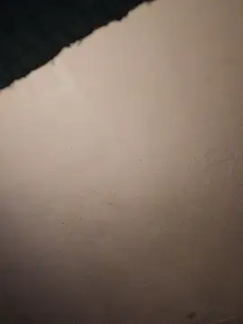 Jazzythorn88 webcam