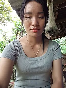 Td3di webcam